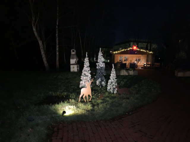 Mehr über den Artikel erfahren Winterfest im Seniorenhaus Hausemannstift